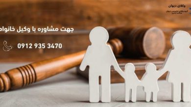 Family lawyer